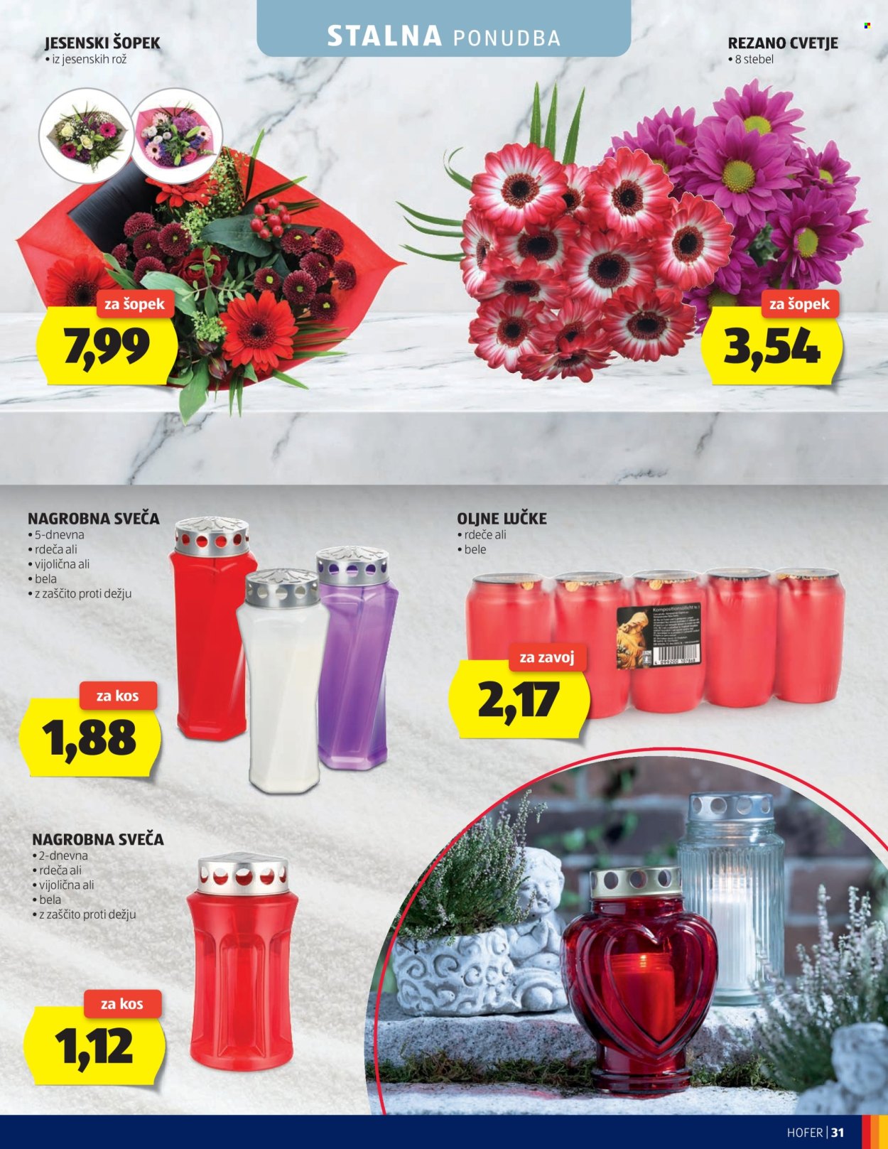 Hofer katalog - 14.10.2026 - 22.10.2026. Stran 31
