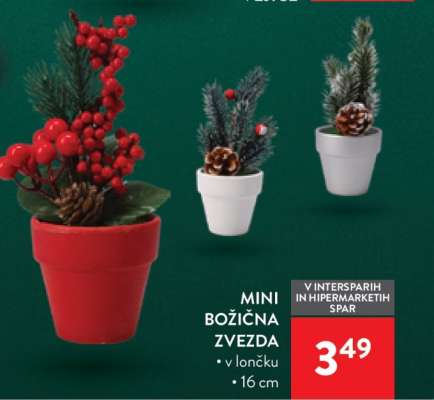 Mini božična zvezda