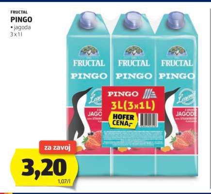 FRUCTAL Pingo