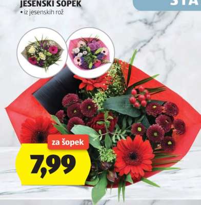 JESENSKI ŠOPEK