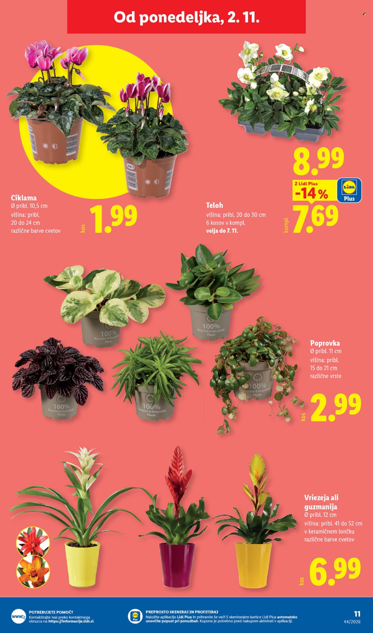 Lidl katalog - 28.10.2026 - 04.11.2026. Stran 29