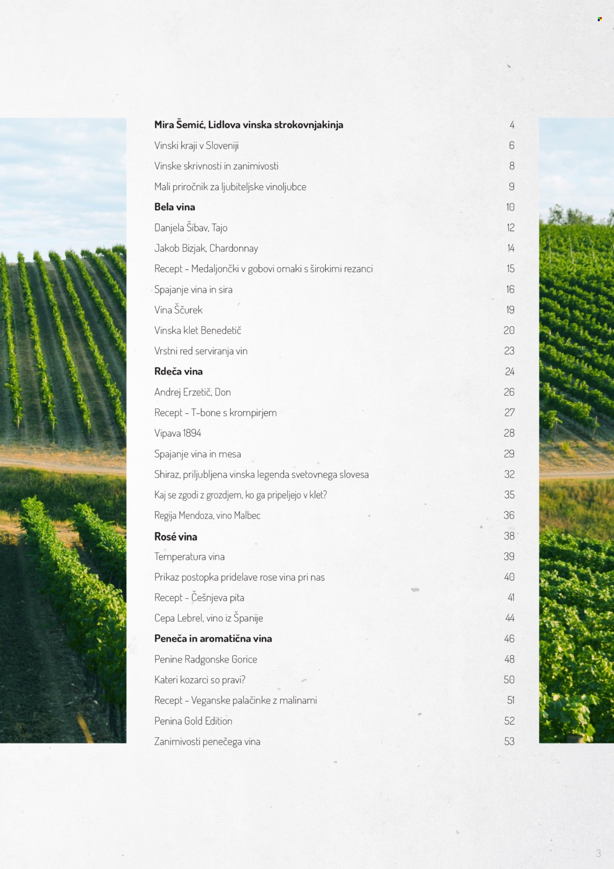 Lidl katalog.