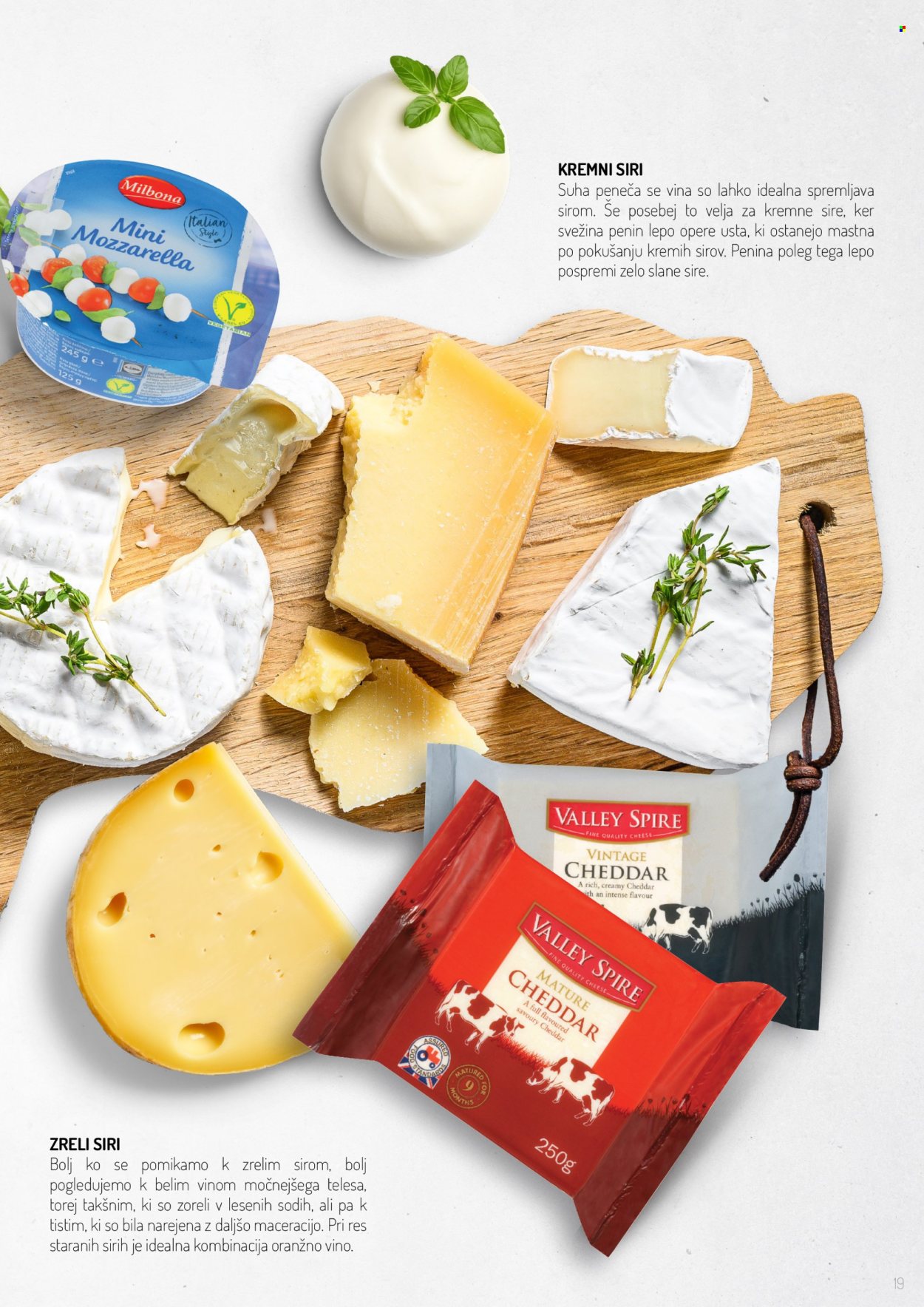Lidl katalog.